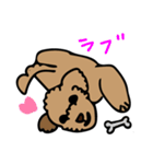 小林家のテディ2（個別スタンプ：4）