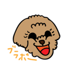 小林家のテディ2（個別スタンプ：12）