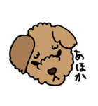 小林家のテディ2（個別スタンプ：16）
