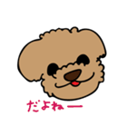 小林家のテディ2（個別スタンプ：24）
