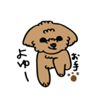 小林家のテディ2（個別スタンプ：36）