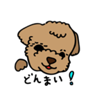 小林家のテディ2（個別スタンプ：37）