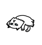 Daily Boogie（個別スタンプ：2）