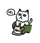 Daily Boogie（個別スタンプ：5）