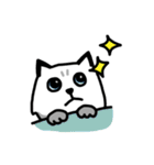 Daily Boogie（個別スタンプ：10）