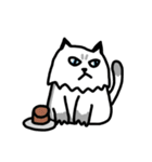 Daily Boogie（個別スタンプ：11）