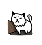 Daily Boogie（個別スタンプ：17）