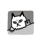 Daily Boogie（個別スタンプ：19）