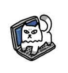 Daily Boogie（個別スタンプ：21）
