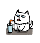 Daily Boogie（個別スタンプ：22）