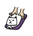 Daily Boogie（個別スタンプ：27）