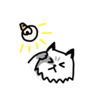 Daily Boogie（個別スタンプ：36）