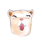 bored bear（個別スタンプ：3）