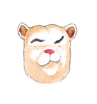 bored bear（個別スタンプ：6）
