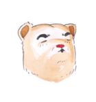 bored bear（個別スタンプ：32）