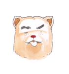 bored bear（個別スタンプ：34）