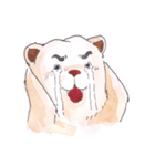 bored bear（個別スタンプ：37）