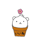 くまコロさん（個別スタンプ：17）