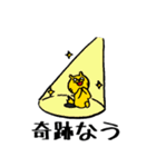 ミタキャット7（個別スタンプ：25）