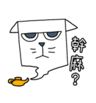 Face eyebrow cat(Elaborate special)（個別スタンプ：15）