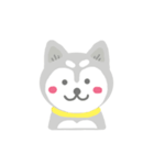 Cute Husky Stickers（個別スタンプ：1）