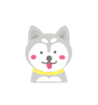 Cute Husky Stickers（個別スタンプ：7）