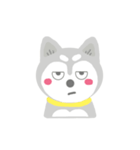 Cute Husky Stickers（個別スタンプ：8）