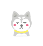 Cute Husky Stickers（個別スタンプ：19）