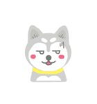 Cute Husky Stickers（個別スタンプ：34）