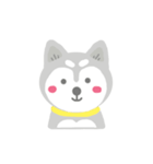 Cute Husky Stickers（個別スタンプ：36）