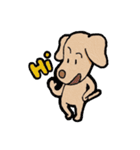 "Makham" Hyper Dog（個別スタンプ：1）