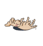 "Makham" Hyper Dog（個別スタンプ：2）