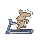 "Makham" Hyper Dog（個別スタンプ：11）