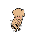 "Makham" Hyper Dog（個別スタンプ：15）