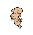 "Makham" Hyper Dog（個別スタンプ：19）