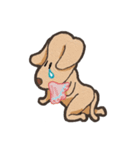 "Makham" Hyper Dog（個別スタンプ：27）
