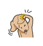 "Makham" Hyper Dog（個別スタンプ：30）