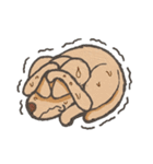 "Makham" Hyper Dog（個別スタンプ：31）