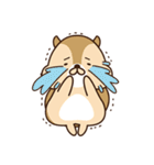 Lazy Squirrel（個別スタンプ：30）