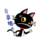 Blake is laughing cat（個別スタンプ：20）