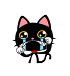 Blake is laughing cat（個別スタンプ：35）