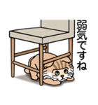 ニャンか言わせて（個別スタンプ：36）