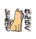 心配するイヌされるねこ・緊急用（個別スタンプ：31）