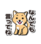 心配するイヌされるねこ・緊急用（個別スタンプ：34）