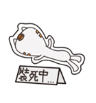 Ahhhh~~Cat（個別スタンプ：34）