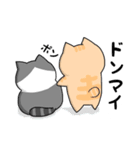 3匹の猫生活 2（個別スタンプ：8）