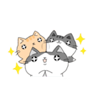 3匹の猫生活 2（個別スタンプ：16）