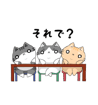 3匹の猫生活 2（個別スタンプ：31）