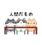 3匹の猫生活 2（個別スタンプ：33）