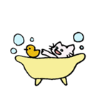ねこ＆いぬ、二匹は仲良し（個別スタンプ：25）